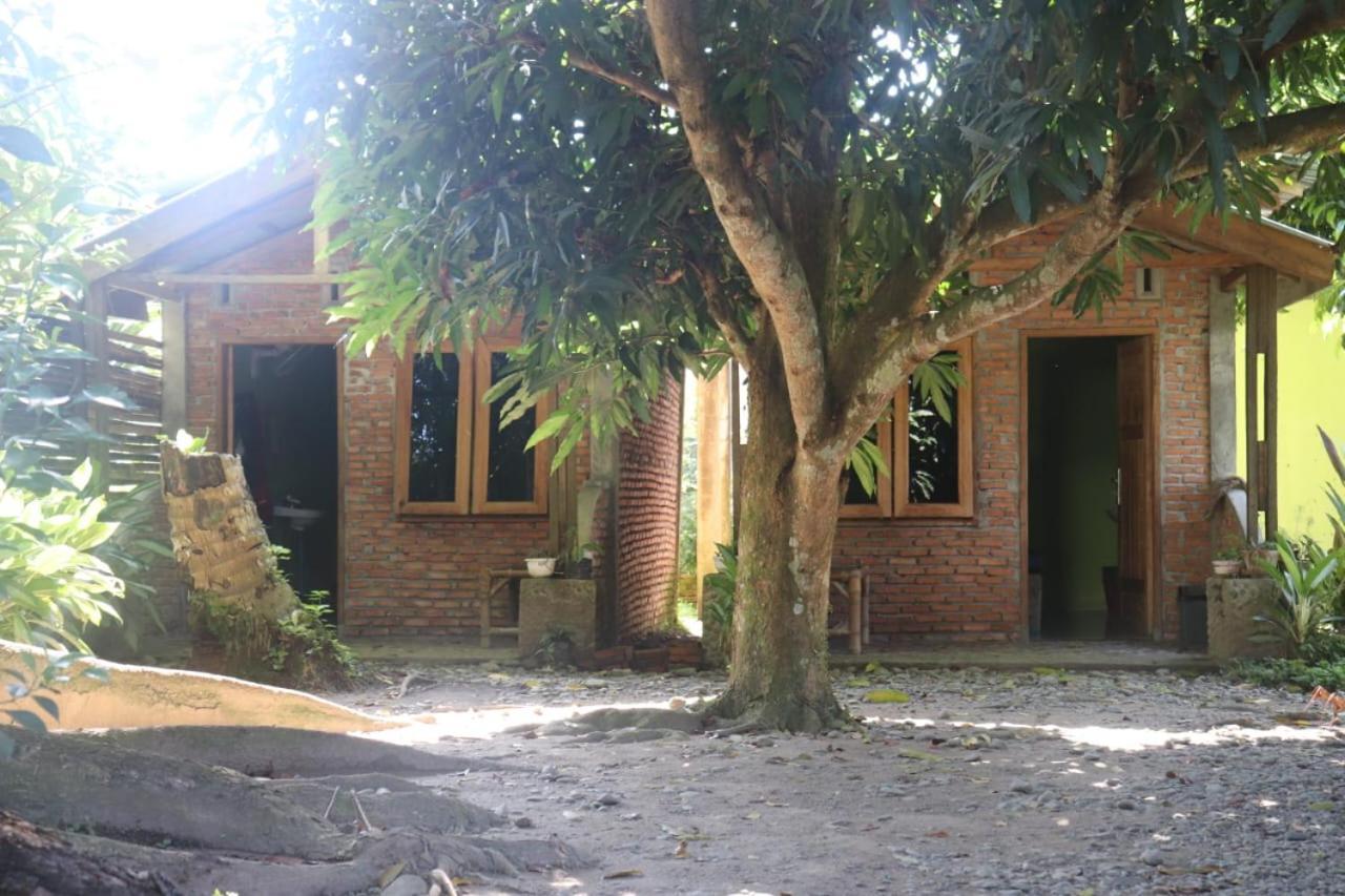 Jhony'S Backpacker-Guest House Only Stay Here Book Treking With Us Bukit Lawang Kültér fotó
