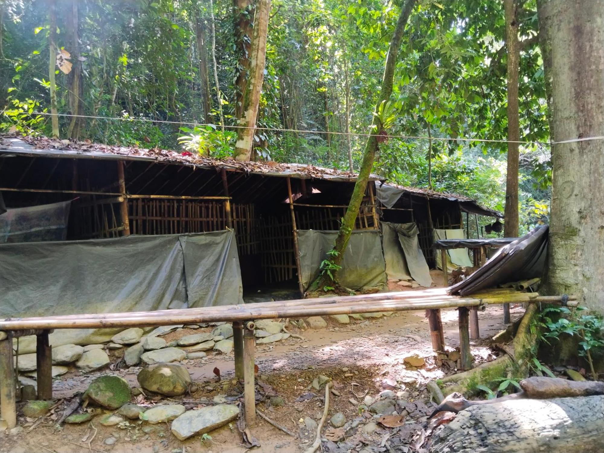Jhony'S Backpacker-Guest House Only Stay Here Book Treking With Us Bukit Lawang Kültér fotó