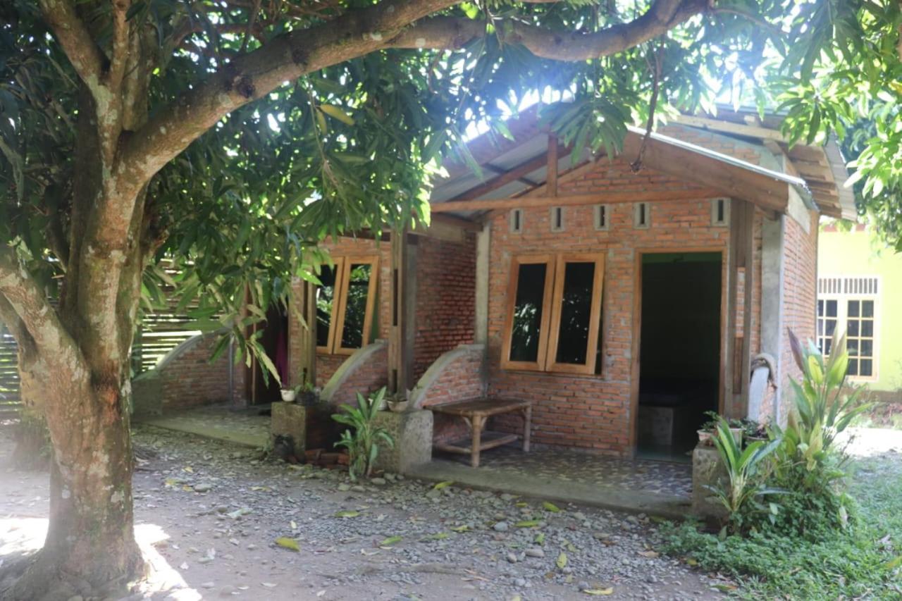 Jhony'S Backpacker-Guest House Only Stay Here Book Treking With Us Bukit Lawang Kültér fotó